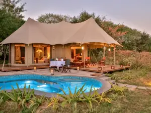 Sawai Shivir Ranthambore by Tutc