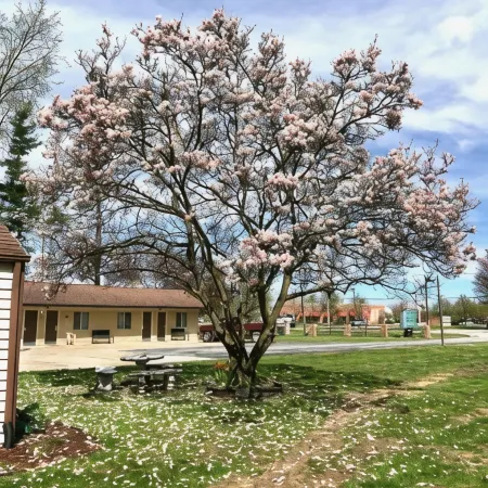 Gratiot View Motel