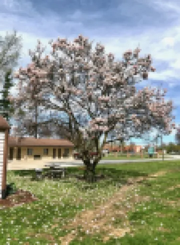 Gratiot View Motel