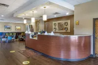 Comfort Inn & Suites Near Danville Mall - bar