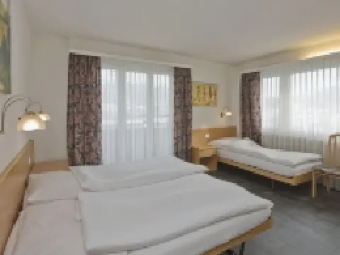 Hotel Europe Brig Hotels in Brig