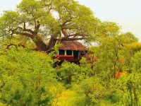 Elewana Tarangire Treetops Ξενοδοχεία στην πόλη Monduli
