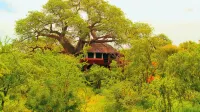 Elewana Tarangire Treetops