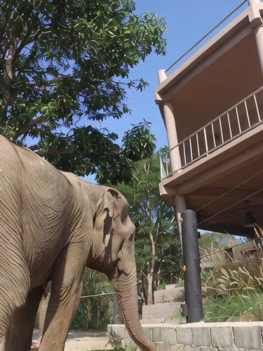 รูปภาพของI love phants Lodge