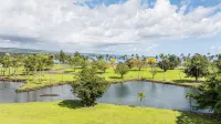 Amazing Ocean & Park Views -  Pool & AC
