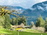 Farmstead Haven with River Views & Sauna - Homestays