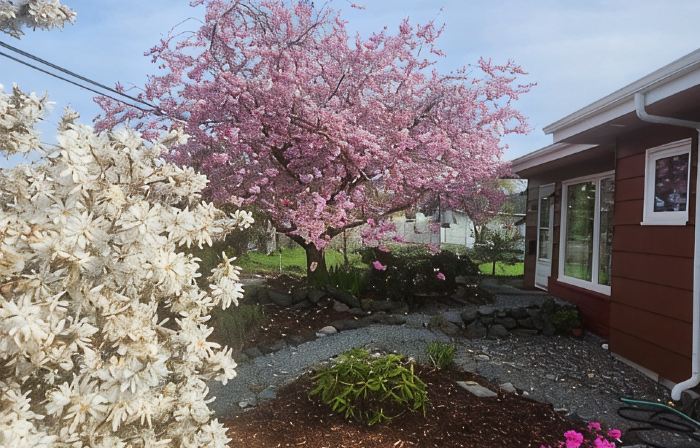 Cozy New Studio  in Charming Mount Vernon, Perfect for You and Your Pup
