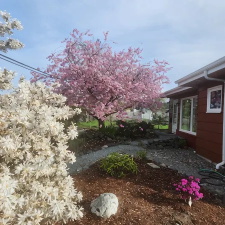 Cozy New Studio in Charming Mount Vernon, Perfect for You and Your Pup