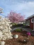 Cozy New Studio  in Charming Mount Vernon, Perfect for You and Your Pup - 무료 와이파이
