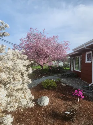 Cozy New Studio  in Charming Mount Vernon, Perfect for You and Your Pup