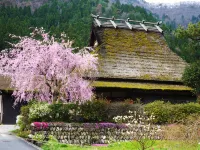 Ryokan Chinsen-Rou