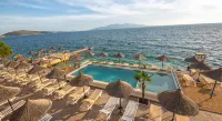 Hotel Jaroal