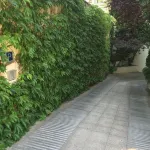 Vilana Hotel Boutique - palestra