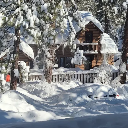 Cozy spacious cabin in Beautiful Wrightwood