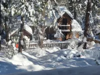 Cozy spacious cabin in Beautiful Wrightwood - 3-Star