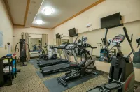 Holiday Inn Express & Suites BAKERSFIELD CENTRAL by IHG - palestra