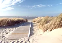 Cozy Vacation Rental in the Arcachon Basin for 2–4 People, in a Quiet Location Near Amenities - Wifi