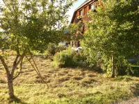 Holzhaus Besler in Hinterstein Self-catering house in the Allgäu Alps - 3-Star