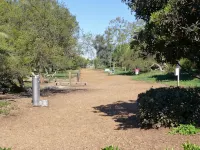 Spacious Contemporary Style Lower Guest Apartment, Private Entry, Walk To Beach!