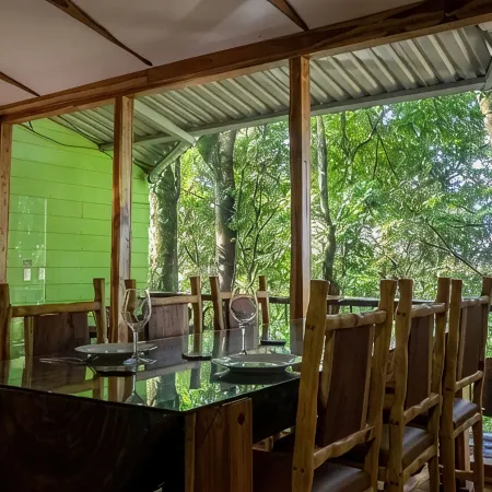 Canopy Wonders House: A Place Among Tree Tops!