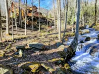 "Rushing Bear   Fully furnished two bedroom cozy cabin you want to capture - Chalets