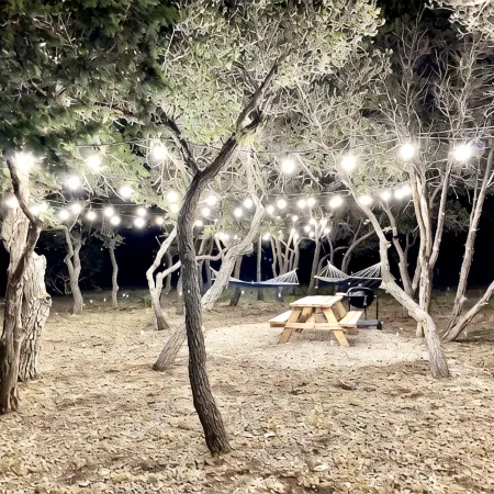 Cozy/Cute Tiny House close to wineries, wedding venues & outdoor fun