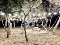 Cozy/Cute Tiny House close to wineries, wedding venues & outdoor fun - 4つ星
