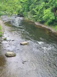 Riverfront Staircase Long Bridge Fishing Hotspot Salmon & Steelhead-Sleeps 8