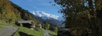 Petit chalet bois esprit montagne 2à 3 personnes - Homestays