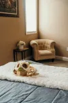 Couples Getaway - Guesthouse/ In-Law Suite with Jacuzzi/Sauna/Pool - 3-Star