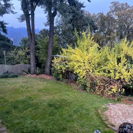 Tracktown & Duck Fans Enjoy! Sleeps 6, Spacious 1600sq ft + Private Yard!
