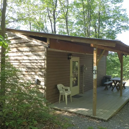 Affordable cabin near Raystown Lake, minutes from Seven Points & Allegrippas Tr