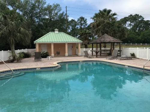 Fish, Beach, Pool, Swim, Relax