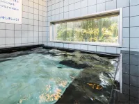 SUPER HOTEL Okinawa Nago