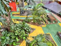 Panama House Bed & Breakfast - Wifi