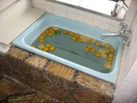 Guesthouse Fukiaesu - Ramah Hewan Peliharaan
