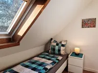 Unique Modern Nature Oasis in the City Center - Apartments