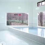 Pension Ing Tomamu - Hot Springs
