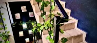 Mini Hotel San Luis Potosí - Pet friendly
