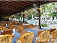 Grand Viking Hotel Hotels near Kiris