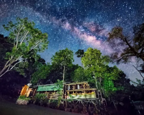 Borneo Tropical Rainforest Resort Berhampiran Hotel Photos