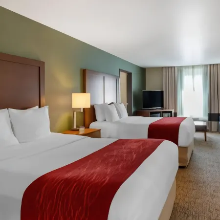 Comfort Inn & Suites Salem