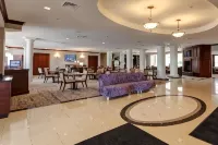 哈德利阿姆赫斯特萬怡酒店 - Wi-Fi