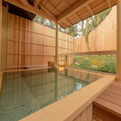 Hanaikada Hotels near Monkey Park Iwatayama