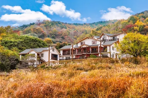 Gyeongju Star Story Pension - Spa