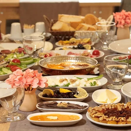 Safran GERMİA Palas