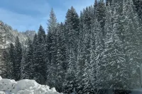 Hidden Gem! Swiss Cottage Ski Chalet - Hytter