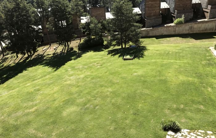 Cozy apartment in La Molina
