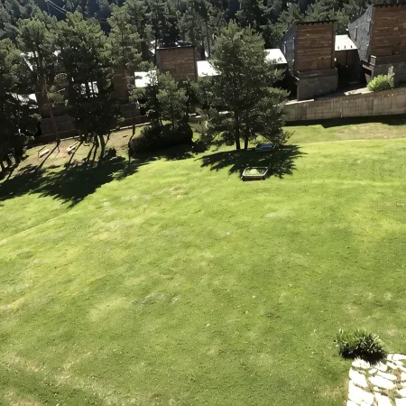 Cozy apartment in La Molina