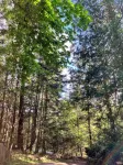 The Hobbit on Canopy Ridge Gabriola